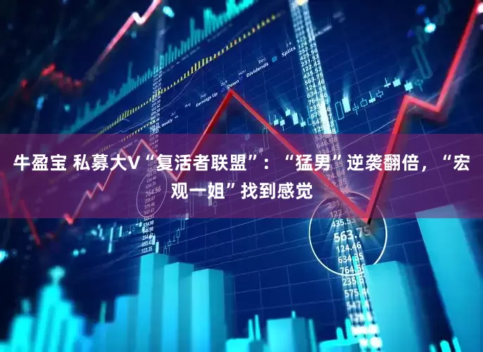 牛盈宝 私募大V“复活者联盟”：“猛男”逆袭翻倍，“宏观一姐”找到感觉