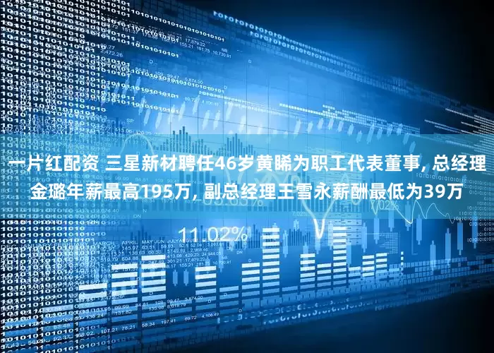 一片红配资 三星新材聘任46岁黄睎为职工代表董事, 总经理金璐年薪最高195万, 副总经理王雪永薪酬最低为39万
