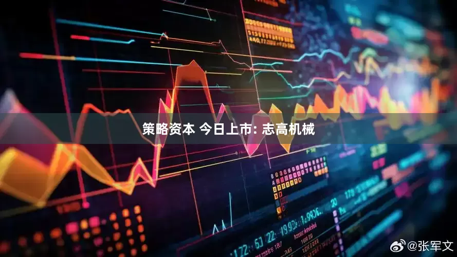策略资本 今日上市: 志高机械